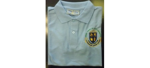  Polo - Llangewydd Juniors